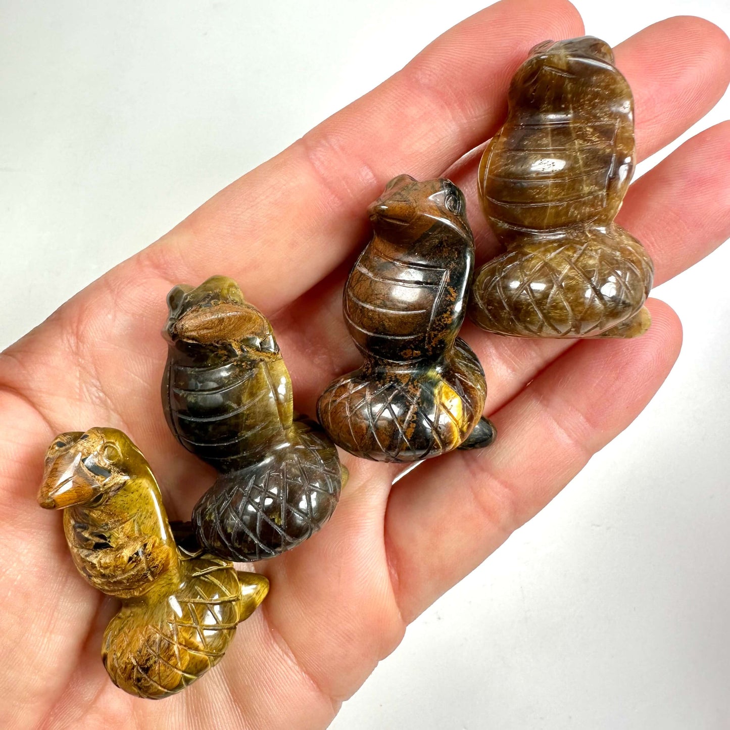 Hånd holder fire udskårne Tigerøje slanger i forskellige nuancer.