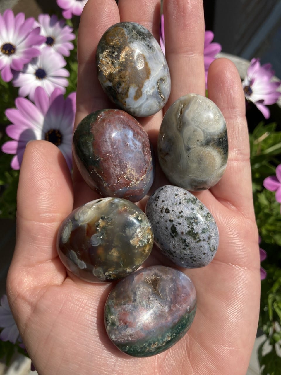 Hånd holder seks jaspis hav lommesten med blomster i baggrunden.