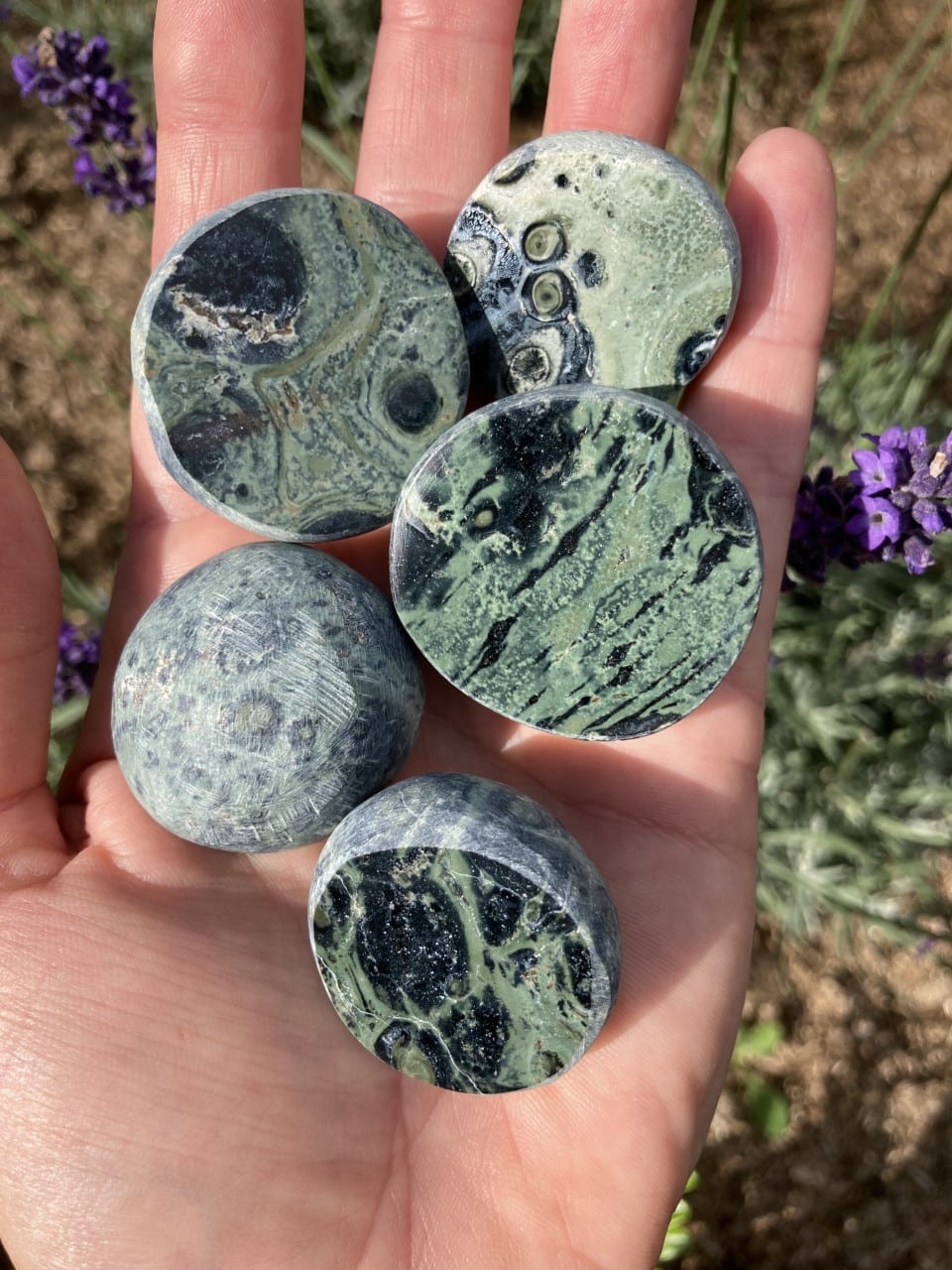 En hånd holder fem runde stykker af Jaspis Kabamba emu mod en baggrund med blomster og grønt.