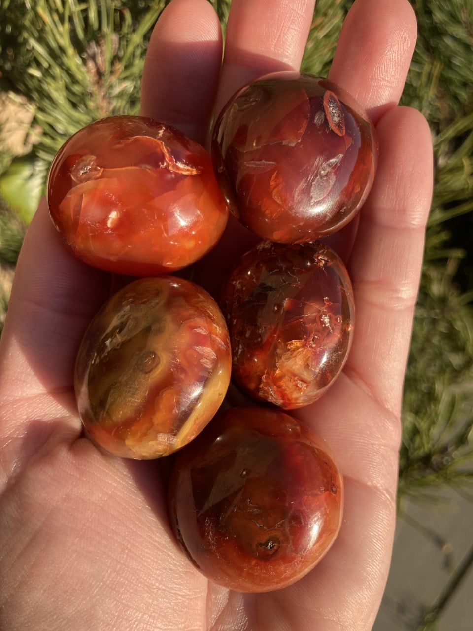 En hånd holder seks polerede karneoler, der viser deres karakteristiske røde og orange nuancer.