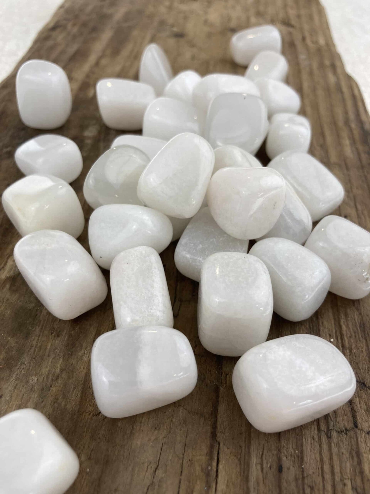 Flere glatte, hvide mælkejader ligger spredt på en rustik træoverflade.