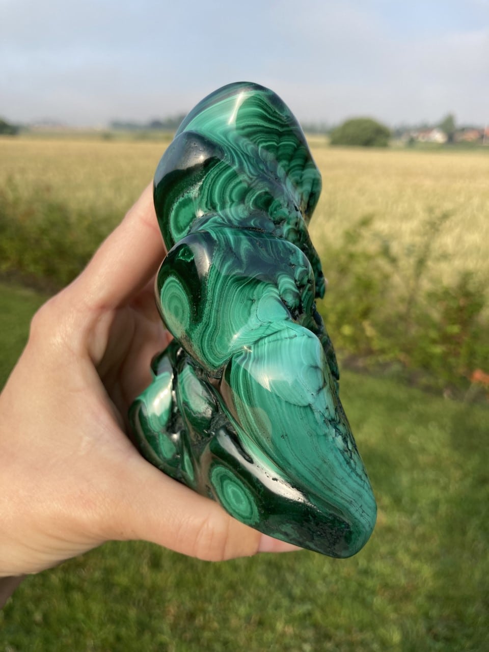 En hånd holder en stor, poleret malakitsten med detaljerede grønne mønstre i en udendørs omgivelser.