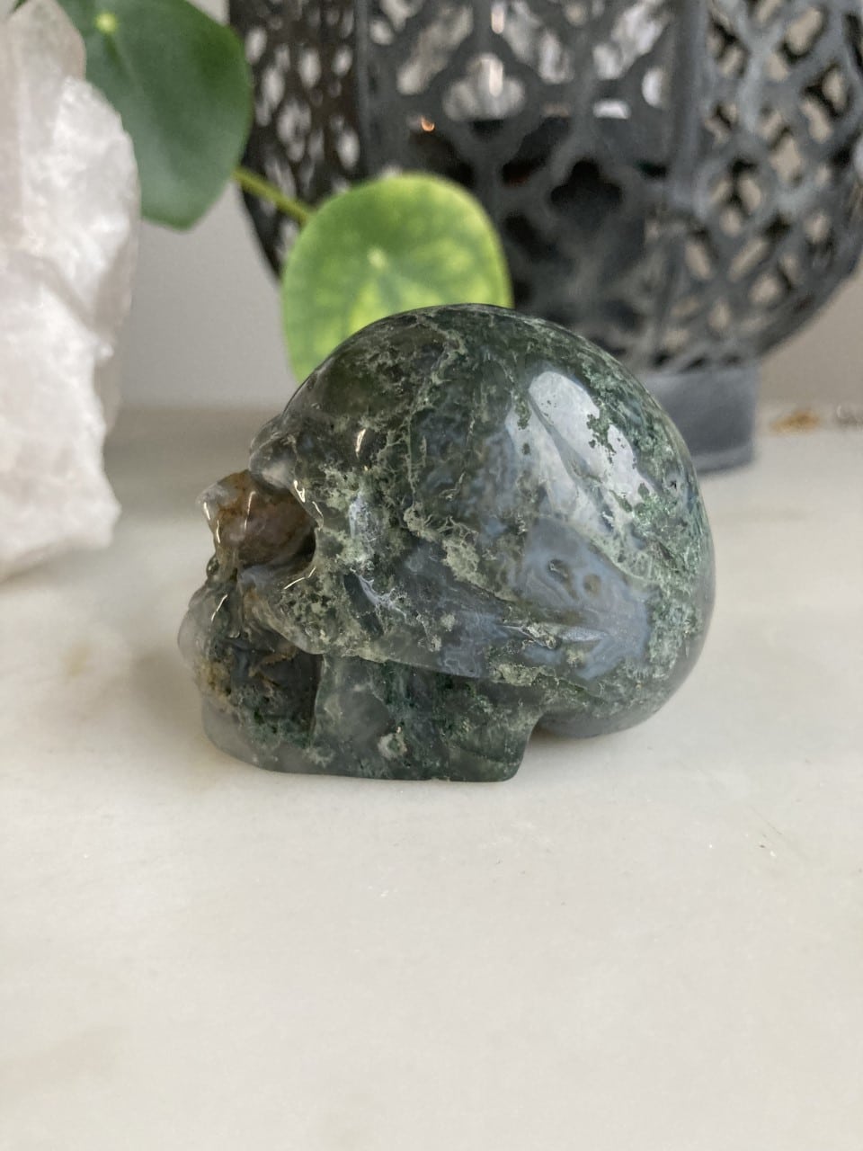 Mos Agat kranie i grønne nuancer på en lys overflade med dekorativ baggrund.