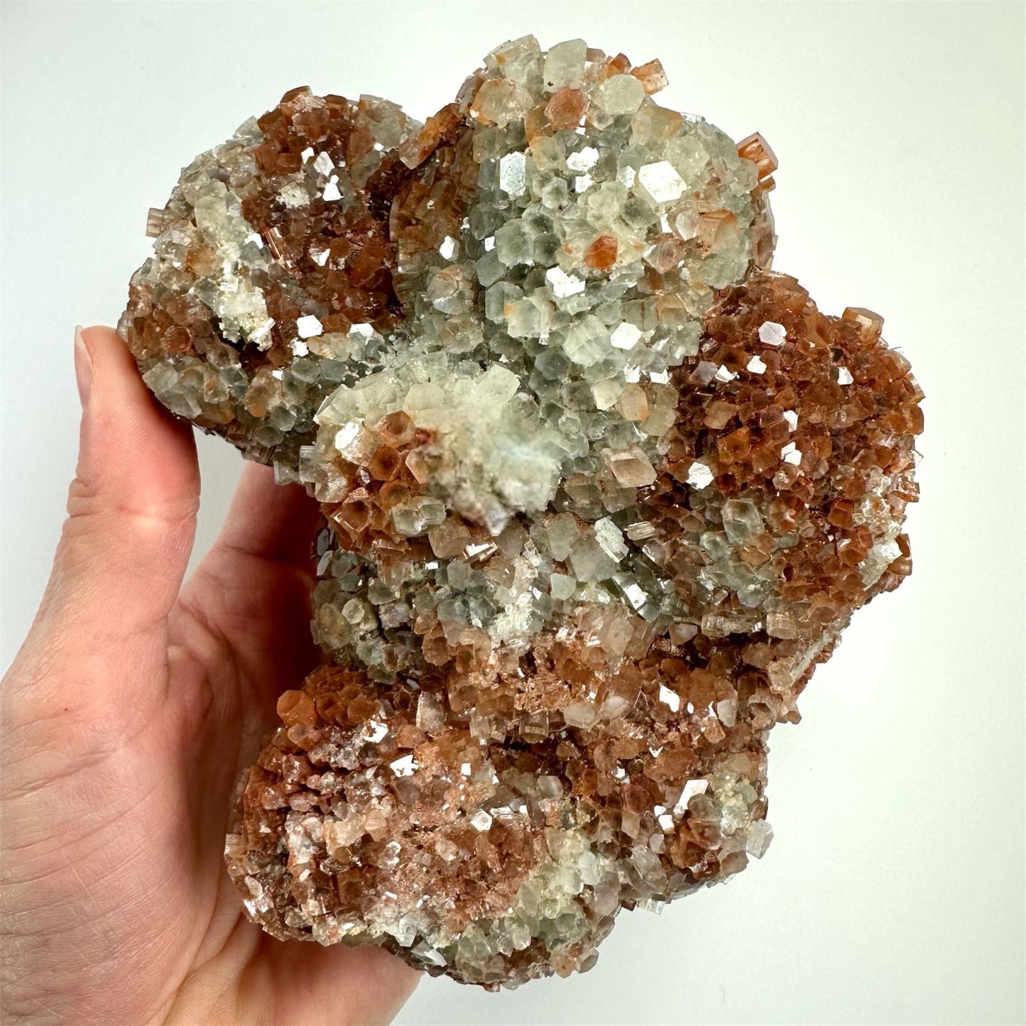 En hånd holder en stor aragonit klynge med brunlige og klare krystaller mod en lys baggrund.