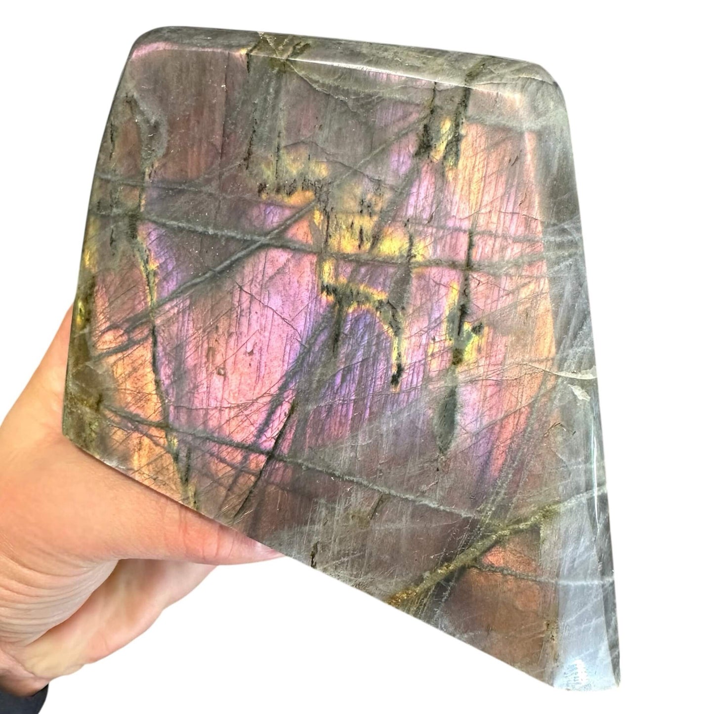 En hånd holder en glat, iriserende labradorit fri form med lilla, gule og orange nuancer.