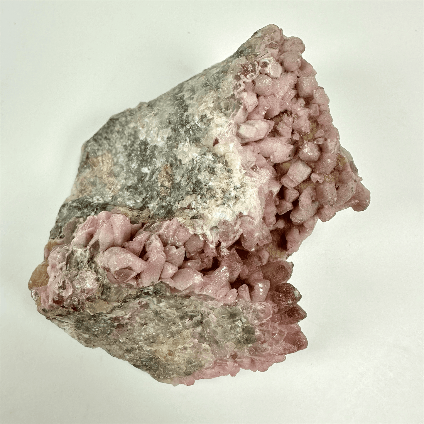 Cobalto calcit klynge i lyserød farve på en grå klippeoverflade, vises mod en lys baggrund.