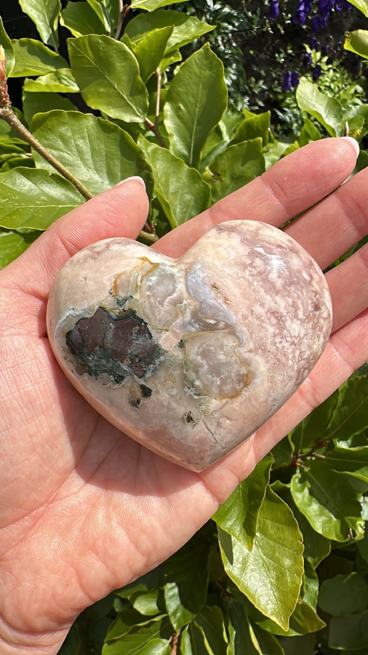 Hånd holder et hjerteformet Pink Ametyst på baggrund af grønne blade.