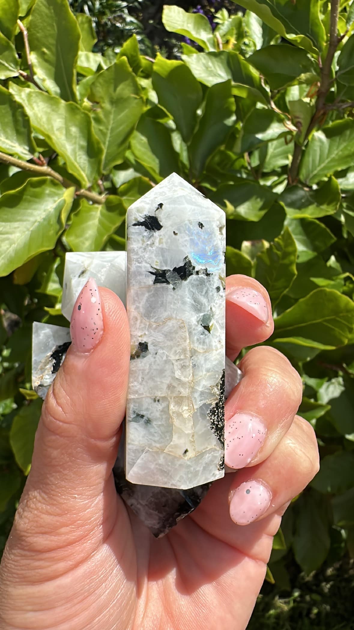 En hånd holder en Regnbue Månesten tårn foran grønne blade i sollys. Neglelak med sorte prikker.