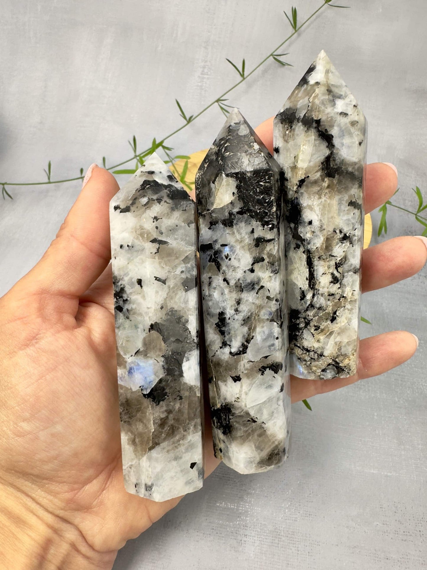 Hånd holder tre Regnbue Månesten tårne foran en grå baggrund med grønne kviste.