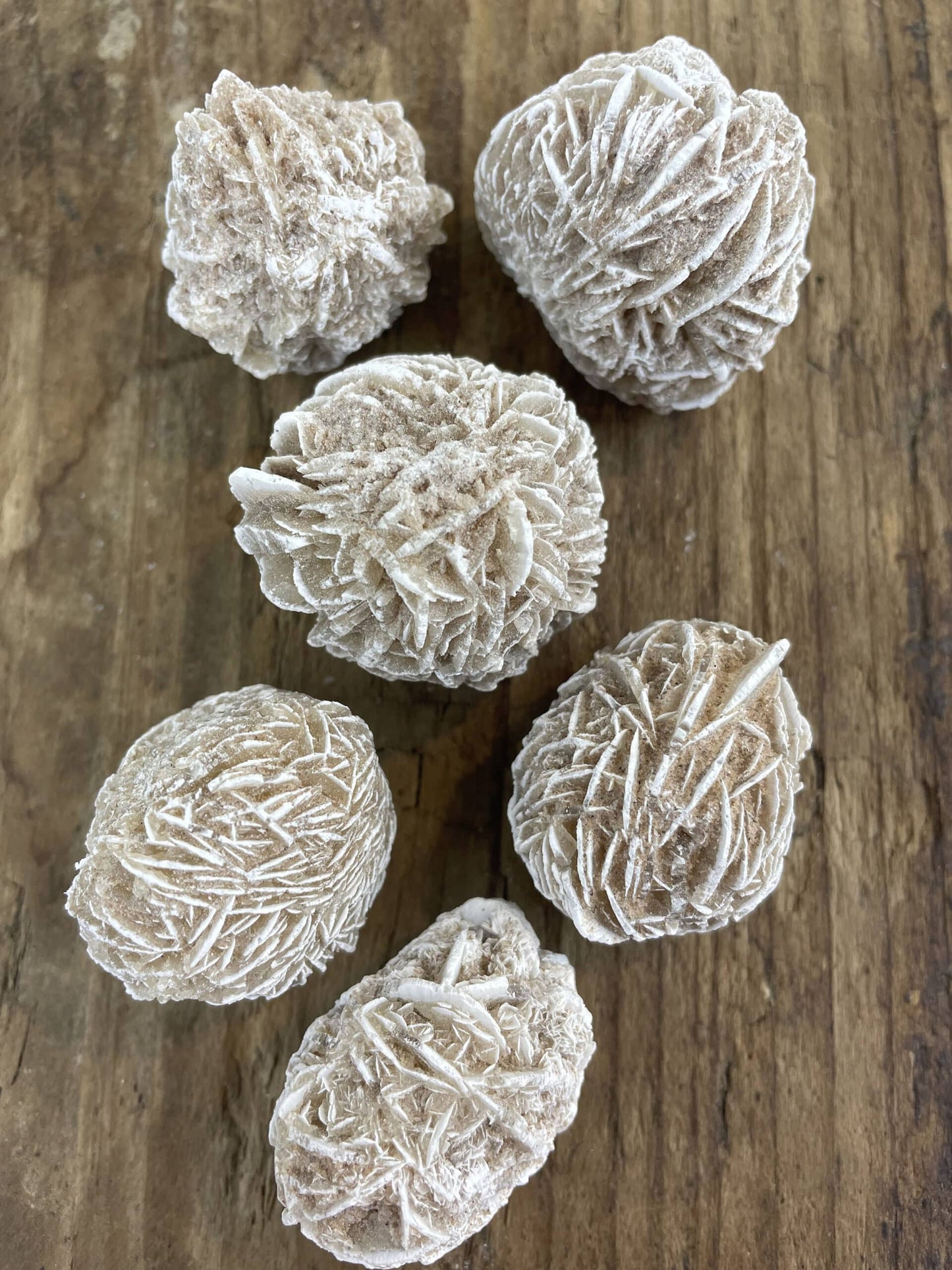 Seks sandroser lagt på en træoverflade, der fremhæver deres unikke krystallinske struktur.