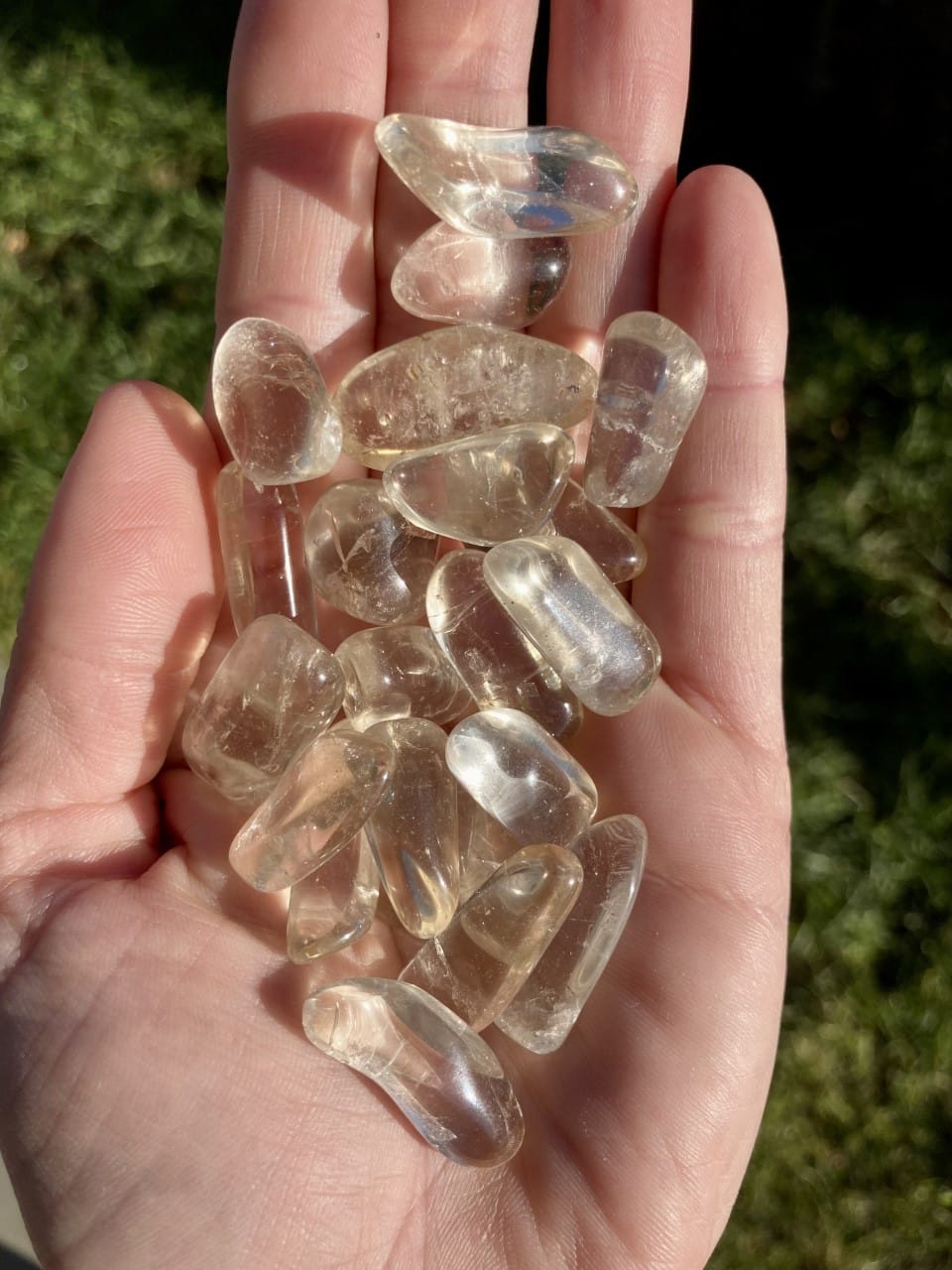 Hånd holder flere polerede ægte citrinsten i sollys på en græsbaggrund.