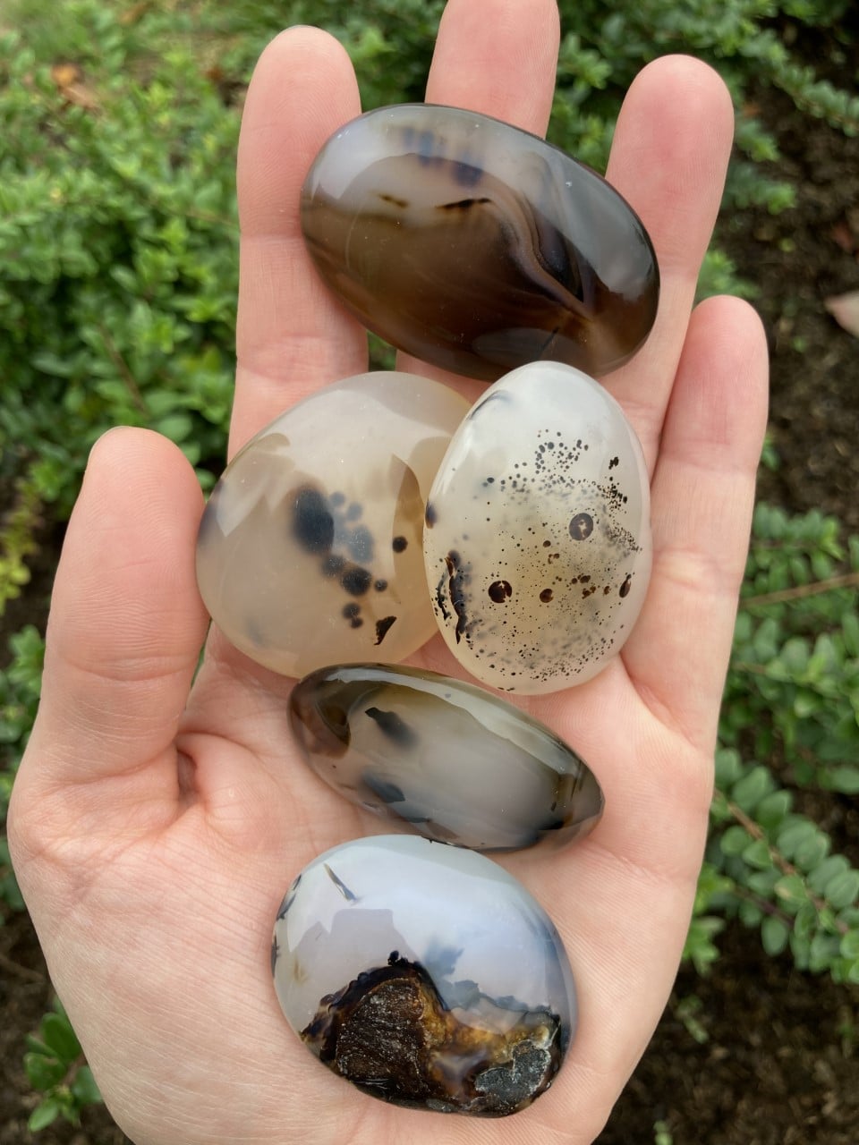 En hånd holder fem glatte, polerede agatsten med naturlige mønstre, fotograferet mod en grøn, udendørs baggrund.