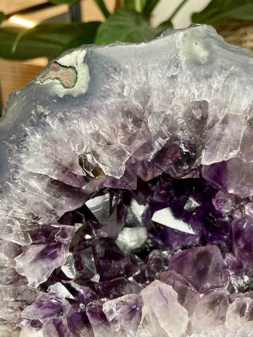 Ametyst Grotte med smukke lilla og klare krystaller, omgivet af grønne blade i baggrunden.