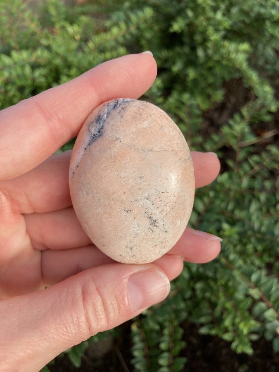 En hånd holder en oval barytsten med lyserød og grå farve, mod en grøn baggrund af planter.