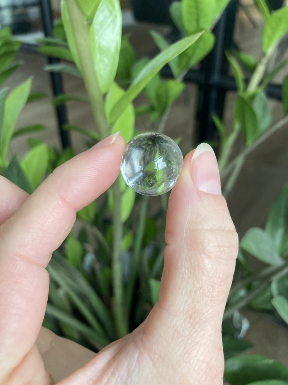 Hånd holder en gennemsigtig bjergkrystal kugle foran grønne planter i baggrunden.