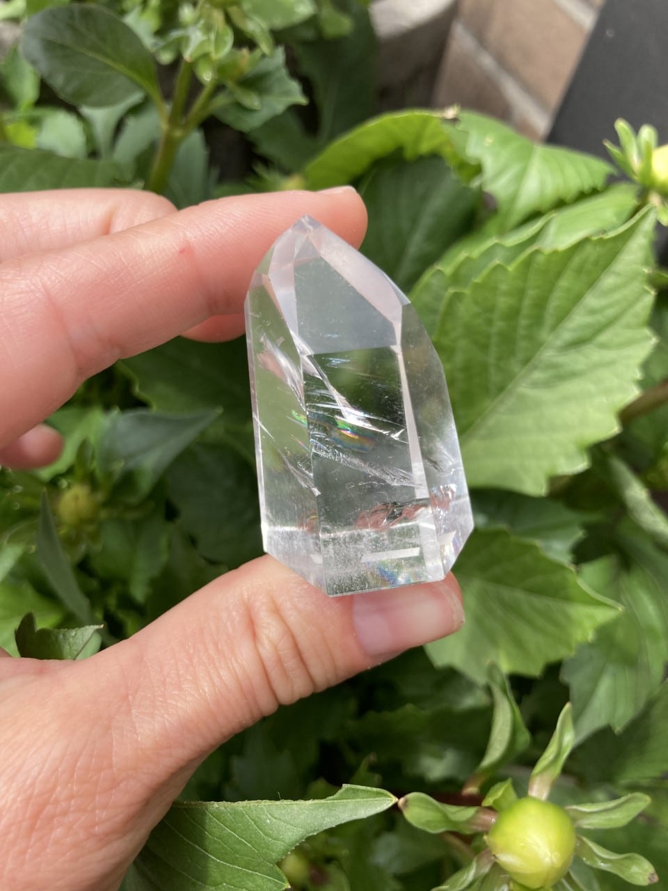 Hånd der holder en bjergkrystal spids foran grønne blade i en have.