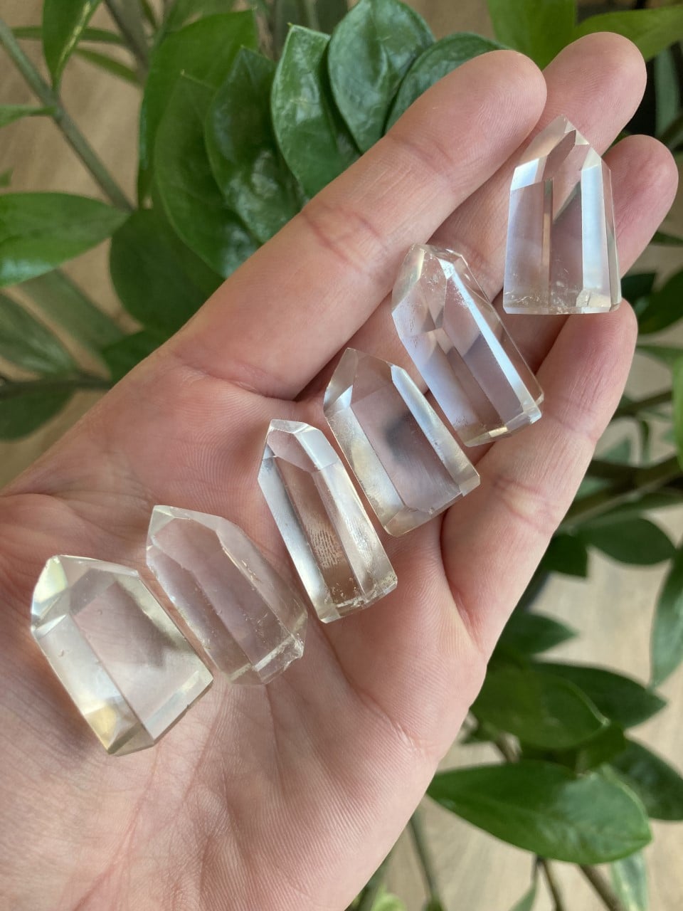 En hånd holder seks klare, små Bjergkrystal spidser, med grønne blade i baggrunden.