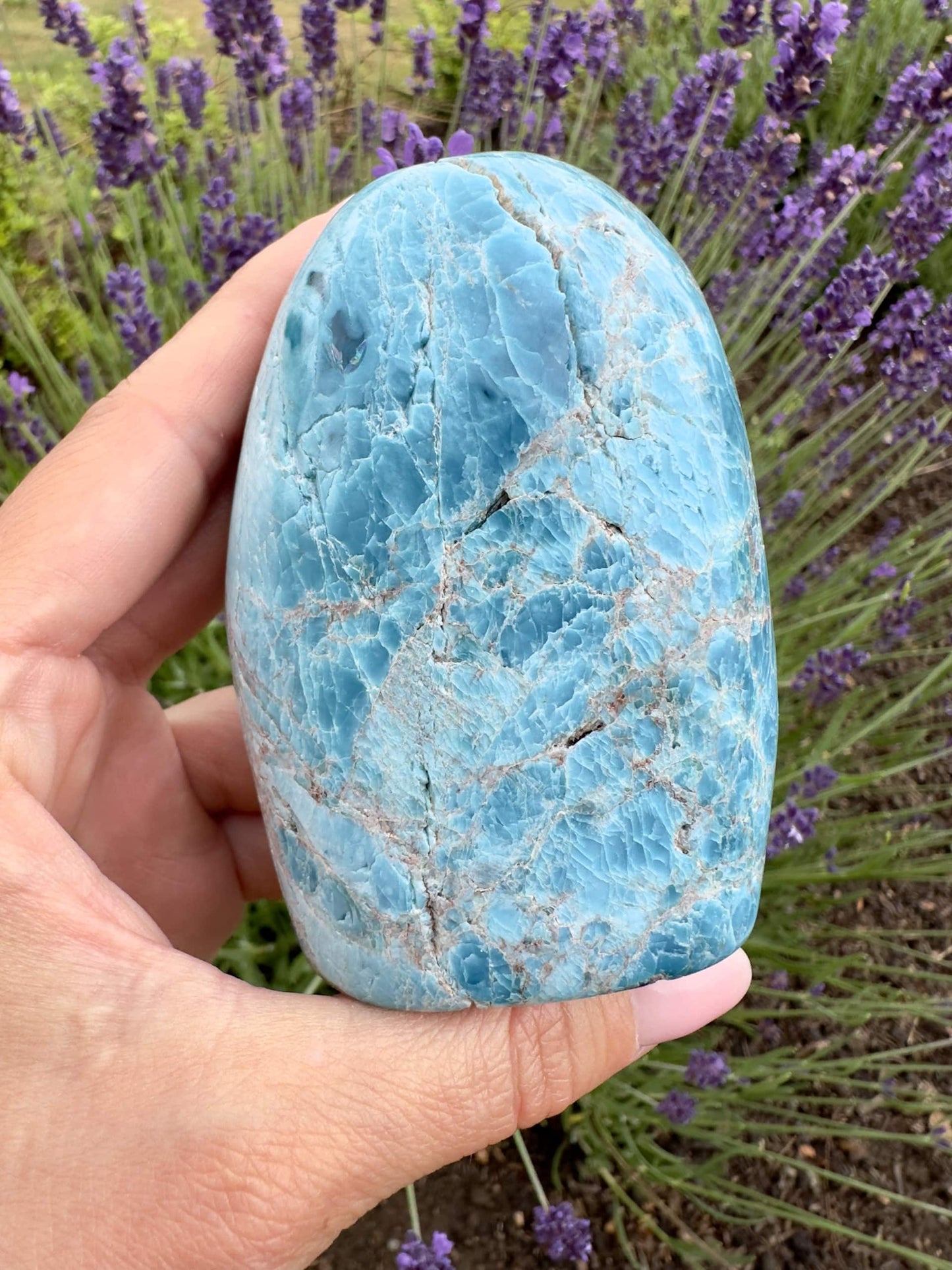 Hånd holder poleret blå apatit foran blomstrende lavendel i baggrunden.