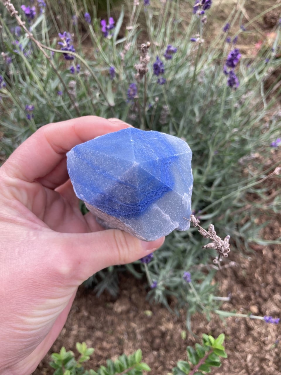 Hånd, der holder en Blå Kvarts spids, med lilla blomster og grønt løv i baggrunden.