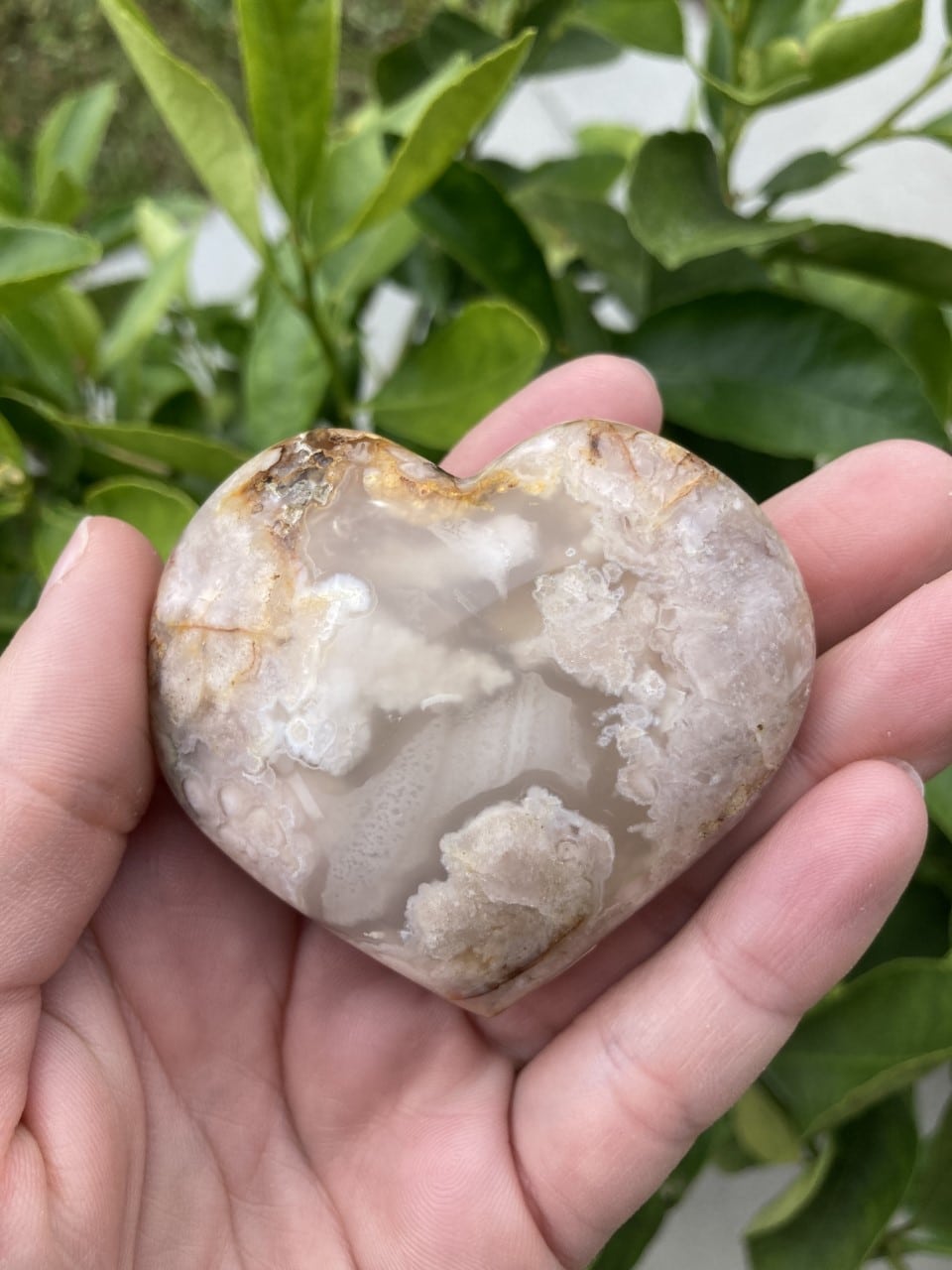 Hånd holder et hjerteformet Blomster Agat foran grønne planter i baggrunden.