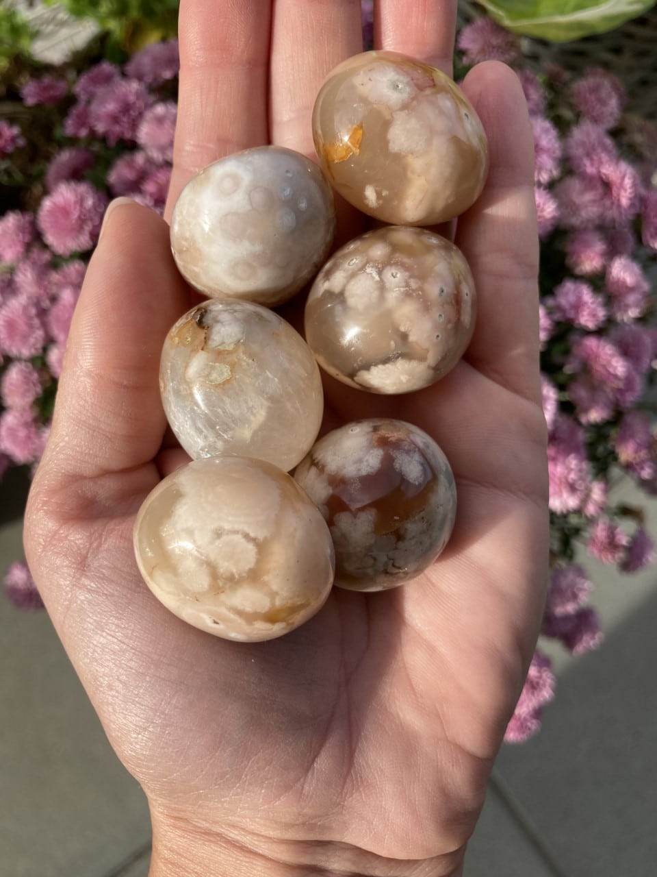 En hånd holder seks blomster agat lommesten, med pink blomster i baggrunden.