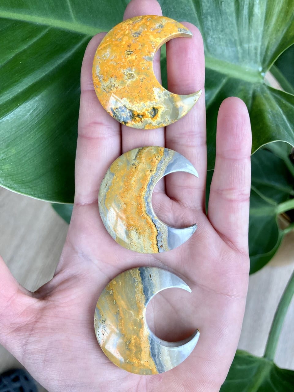 Tre Jaspis Bumblebee måne-formede sten på en hånd, med grønne blade i baggrunden.