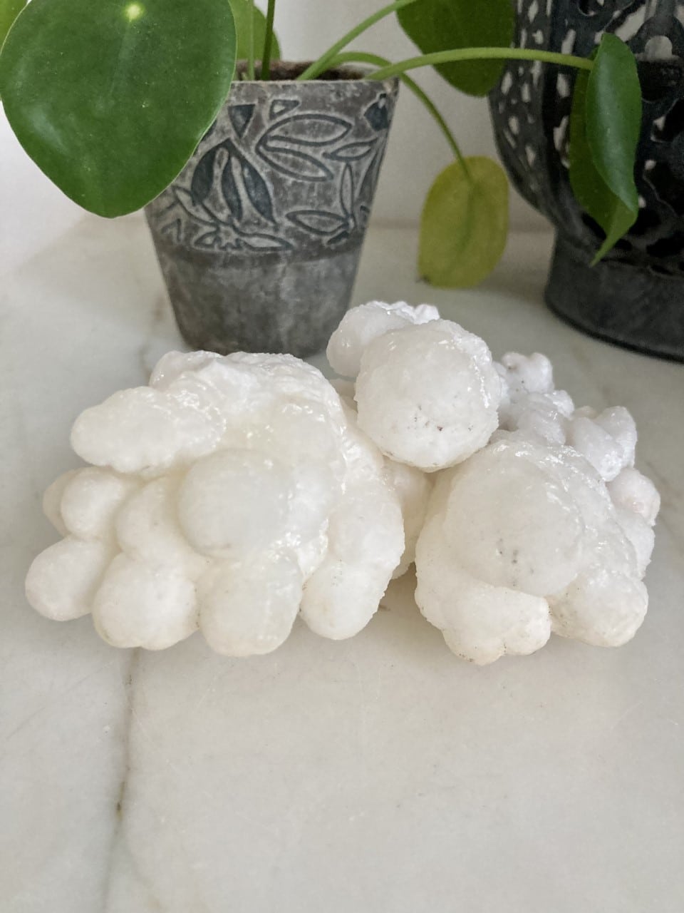 Hvid calcit klynge på bord ved siden af dekorative planter i grå potter.