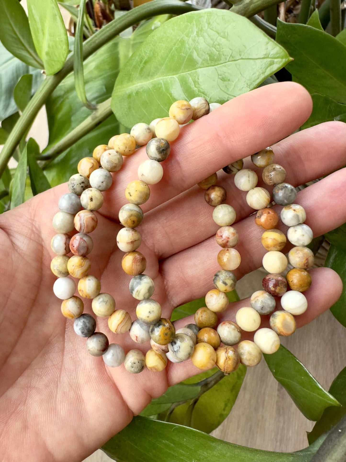 Hånd holder et Agat crazy lace armbånd foran grønne blade.