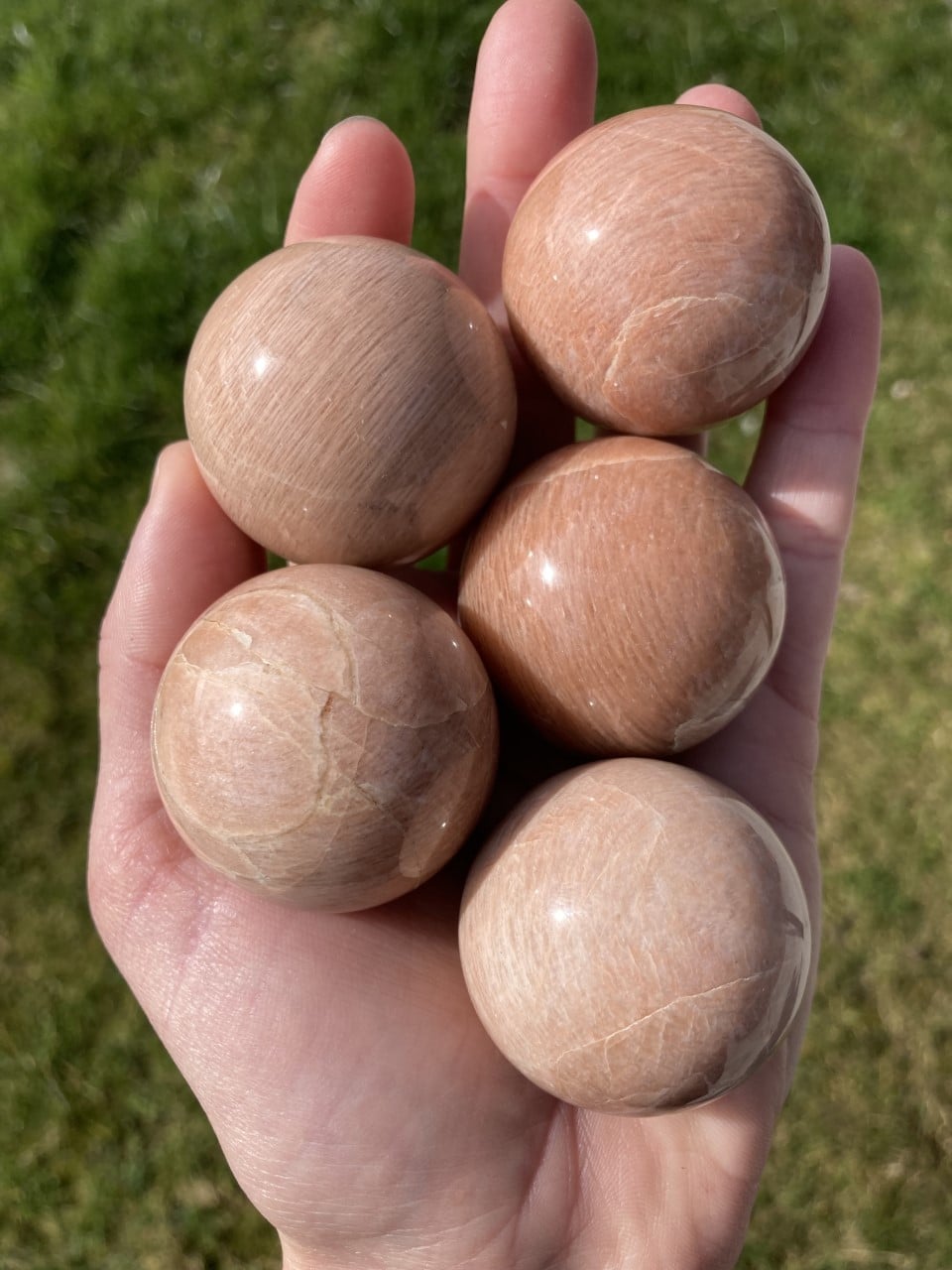 Hånd holder fem glatte Fersken Månesten Kugler, udendørs på en græsplæne.