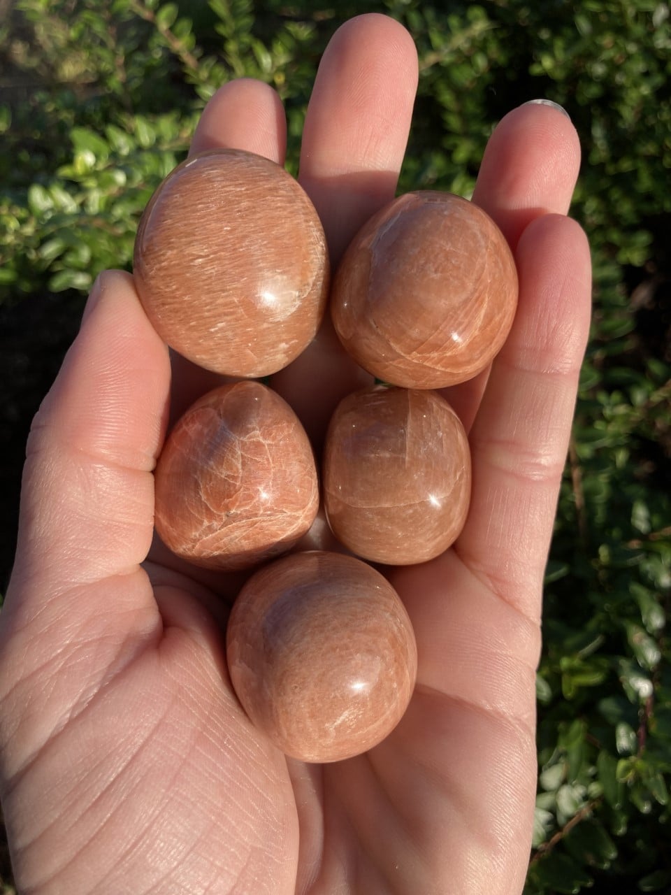 Hånd, der holder fem polerede, rødlige månesten.