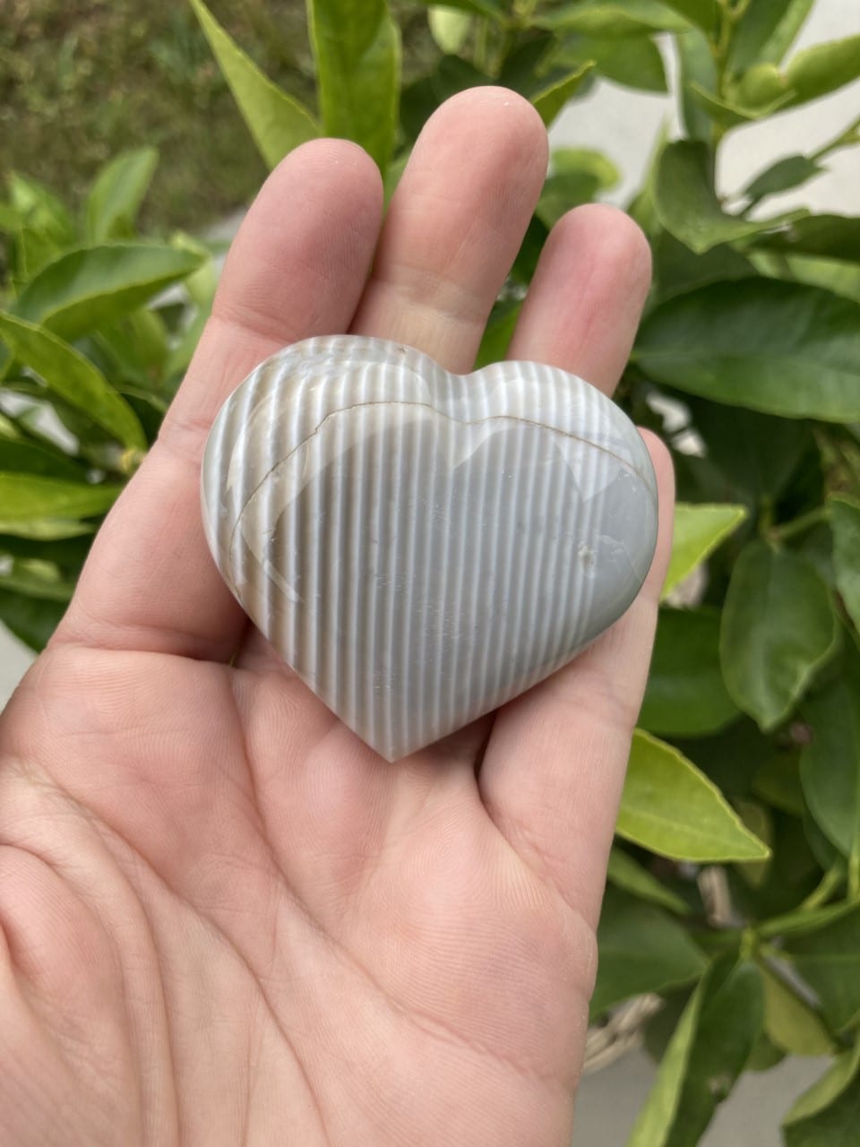 En hånd holder et Jaspis Flint hjerte foran grønne blade.