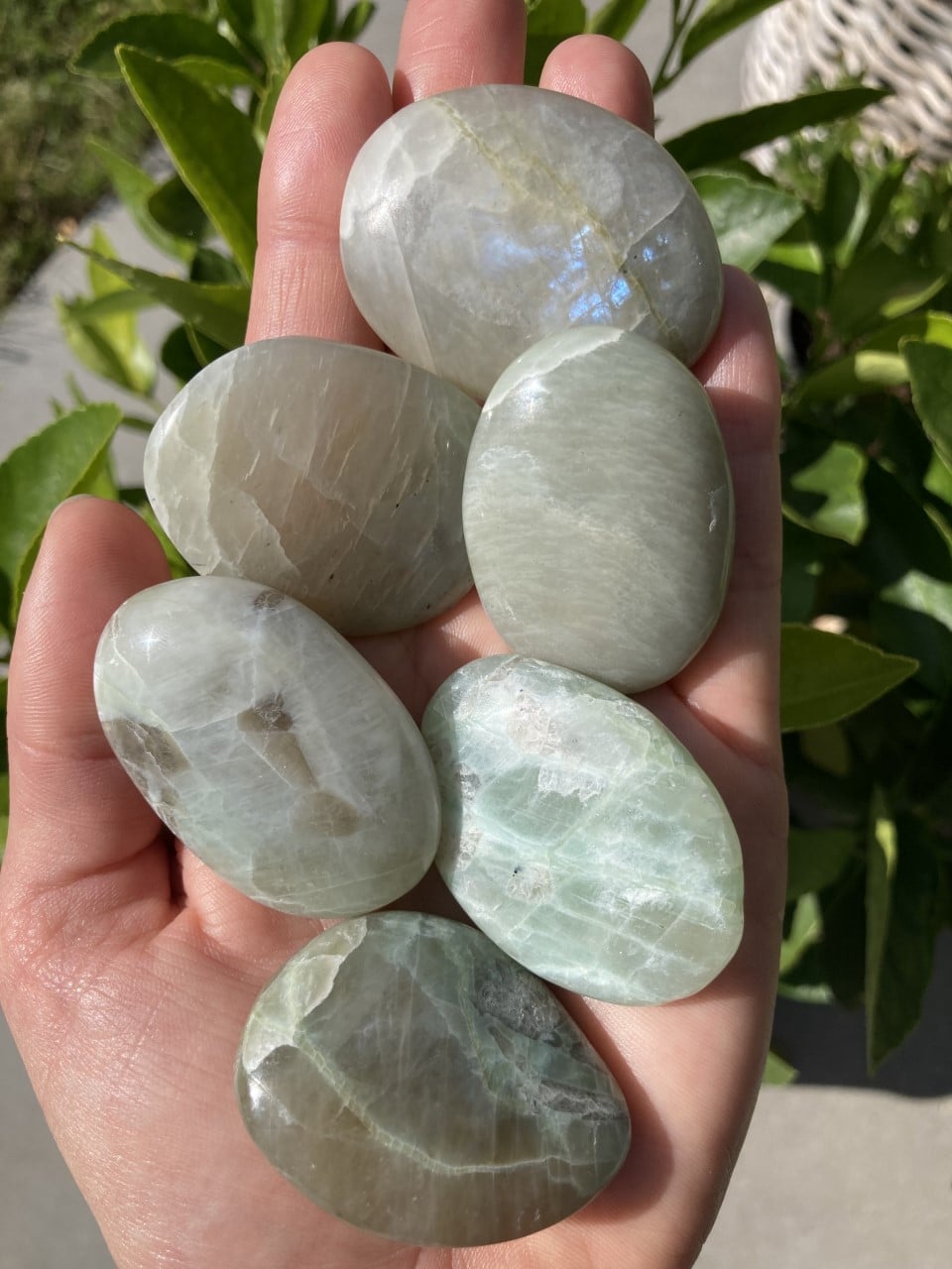 Hånd, der holder garnierit-sten med grønlige nuancer i naturligt lys.