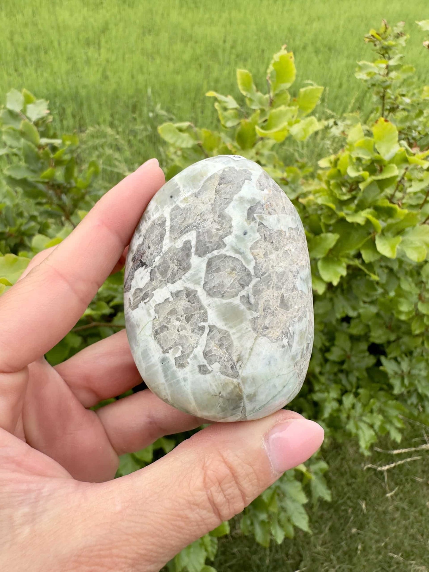 En hånd holder en garnierit sten foran en grøn baggrund med løv.