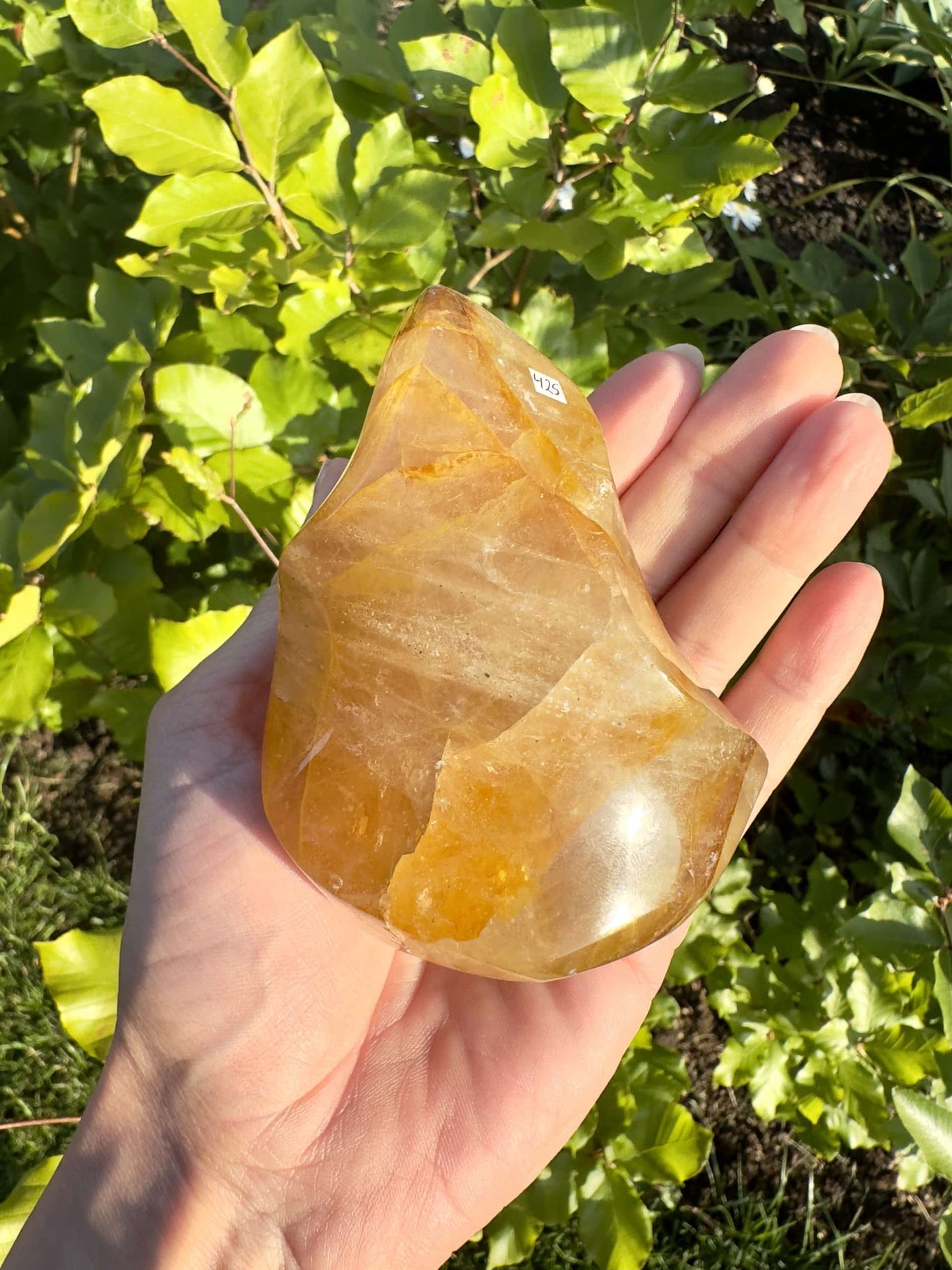 Hånd holder Golden Healer-krystal mod grønne blade i naturligt lys.