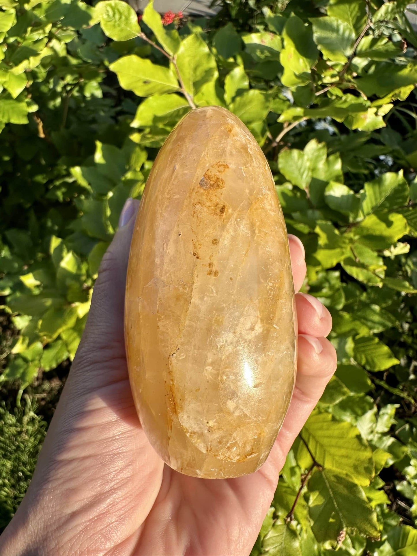 Hånd der holder en gylden healer krystal foran grønne blade i baggrunden.