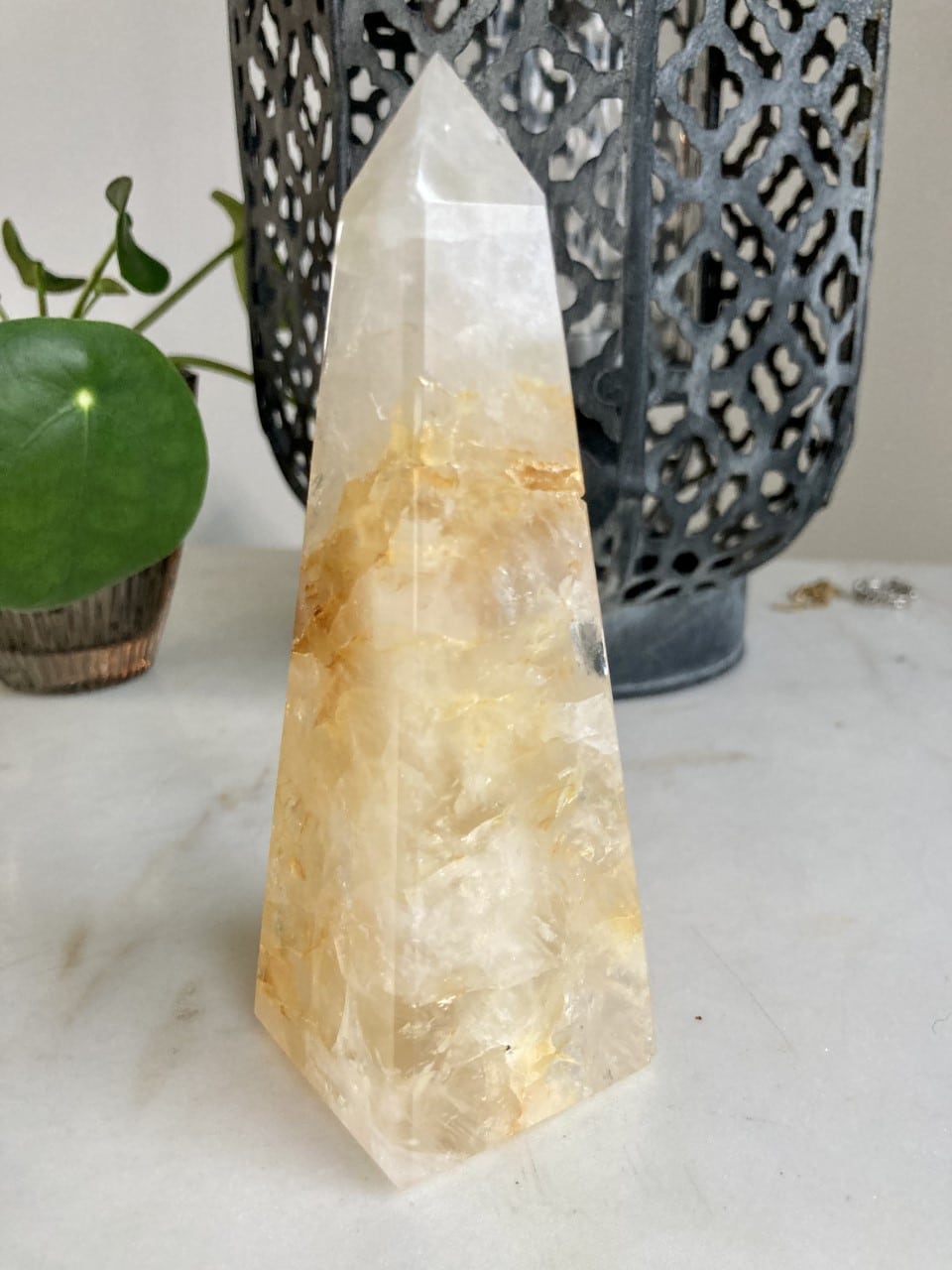 Stor Golden Healer spids på marmorbord, dekorativt gitter i baggrunden, plante til venstre.