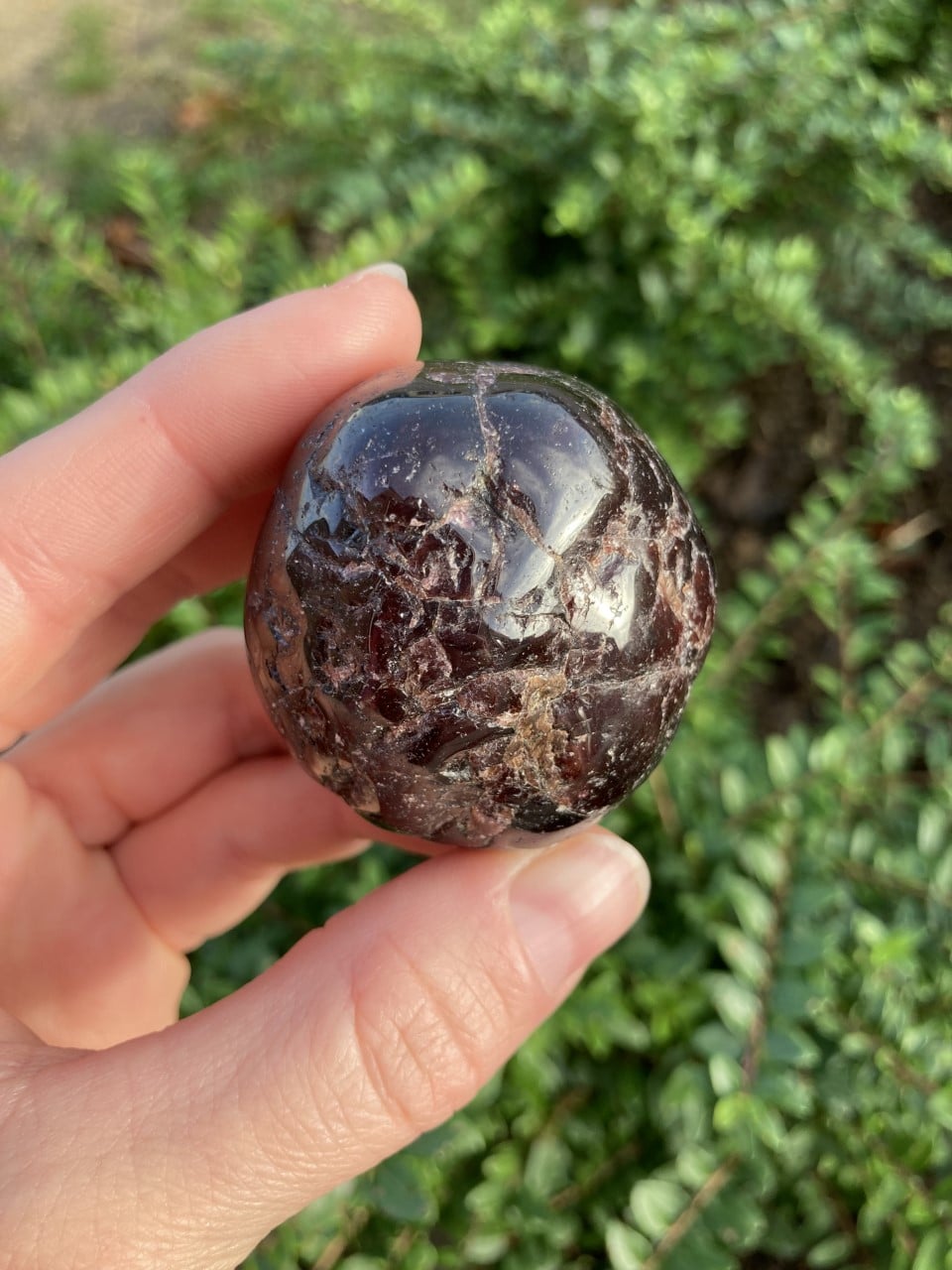 En hånd holder en Granat Jumbo-sten mod en grønt bladet baggrund.