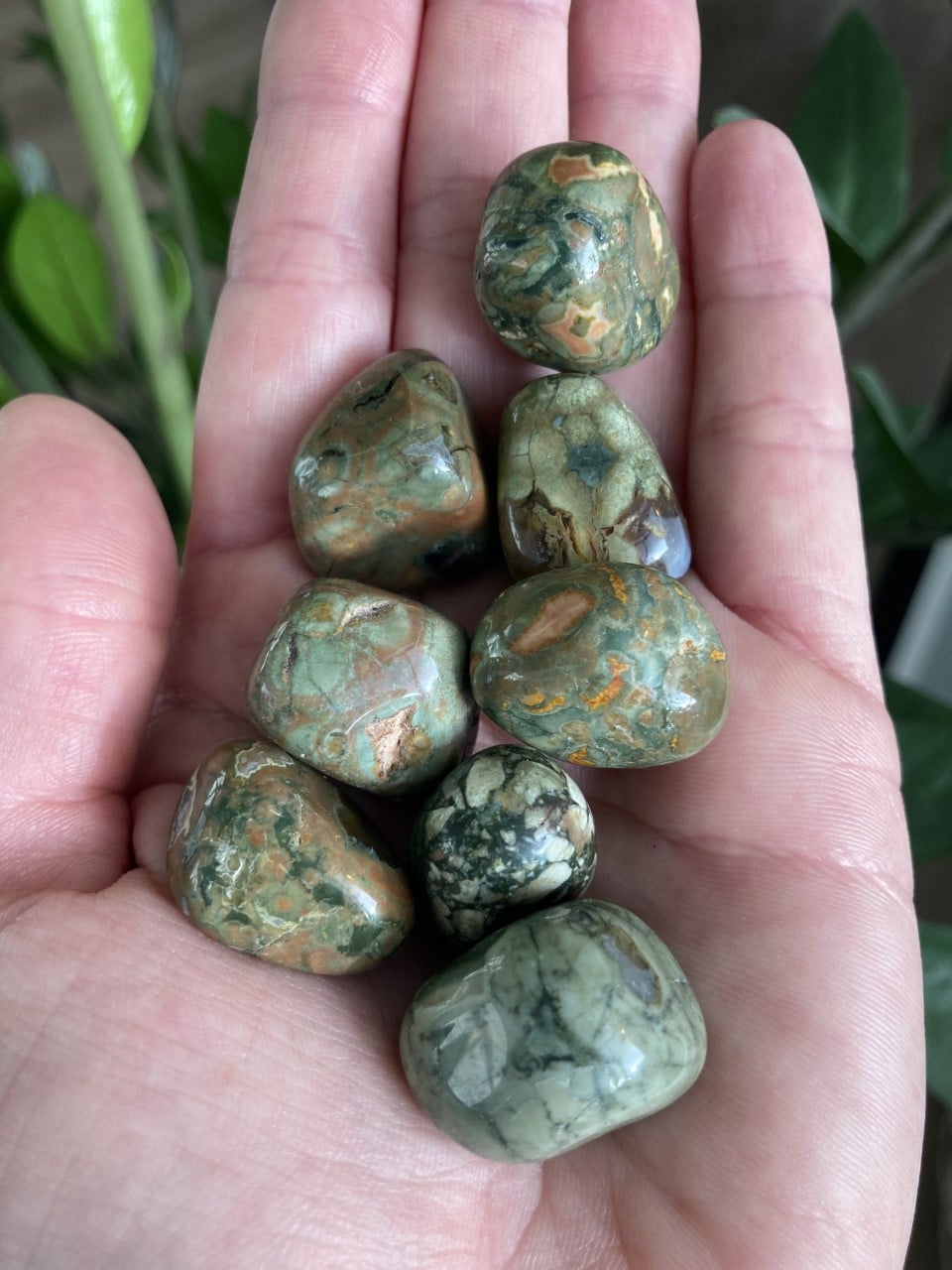 Hånd med grøn Rhyolit lommesten, der viser unikke mønstre og nuancer, baggrund med planter.