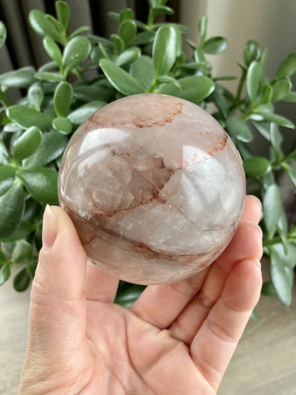 Hæmatit kvarts kugle holdt i hånd, med grønne blade i baggrunden.