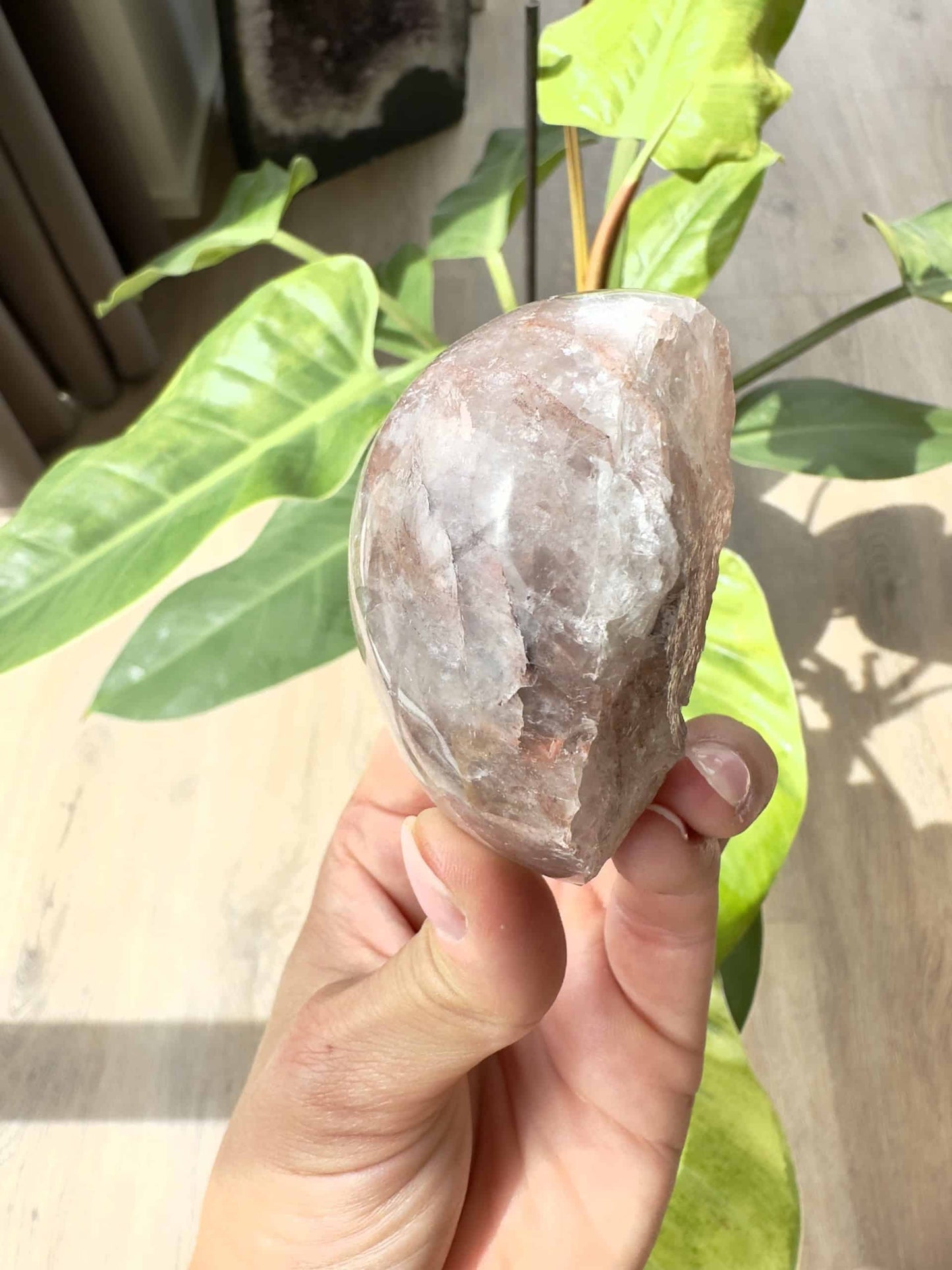 Hånd holder hæmatit kvarts delvist poleret med grønne blade i baggrunden.