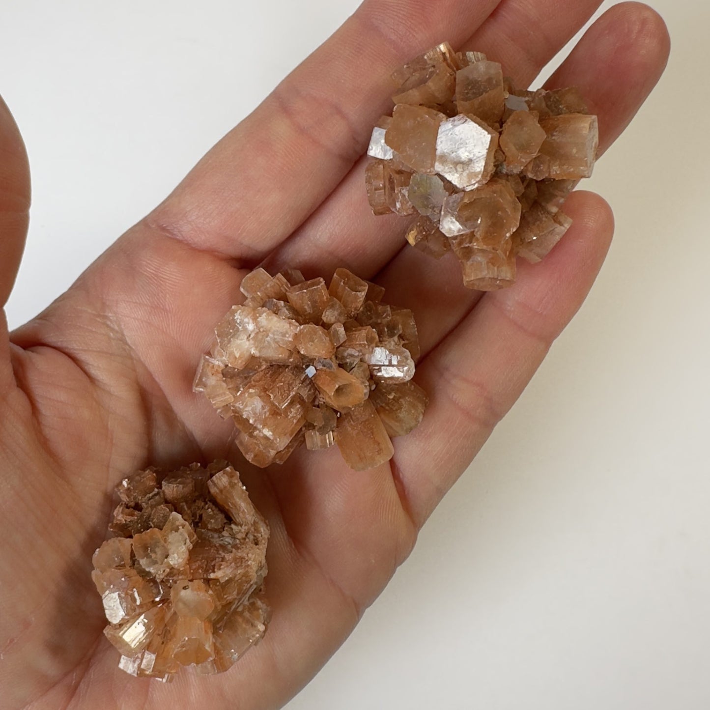 En hånd der holder tre brune aragonitklynger med firkantede krystaller.