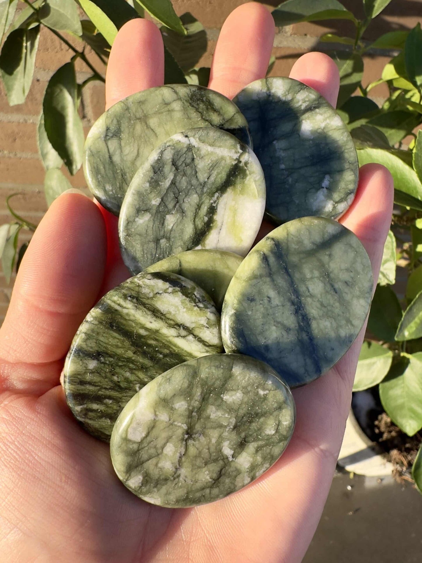 En hånd holder flere Grøn Jade skiver med forskellige mønstre og nuancer, foran grønne planter.