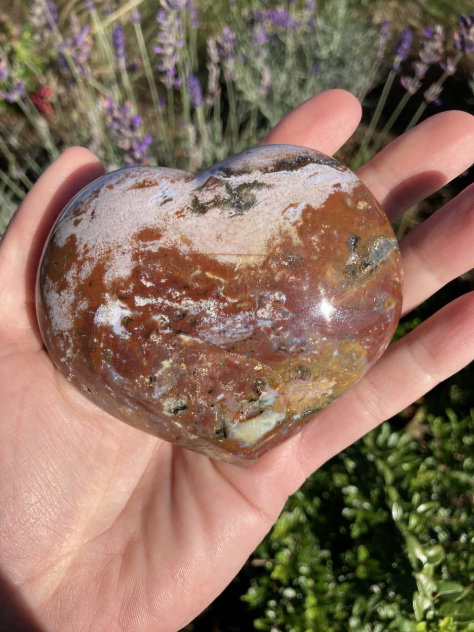 En hånd holder en hjerteformet Jaspis Hav sten med naturbaggrund.