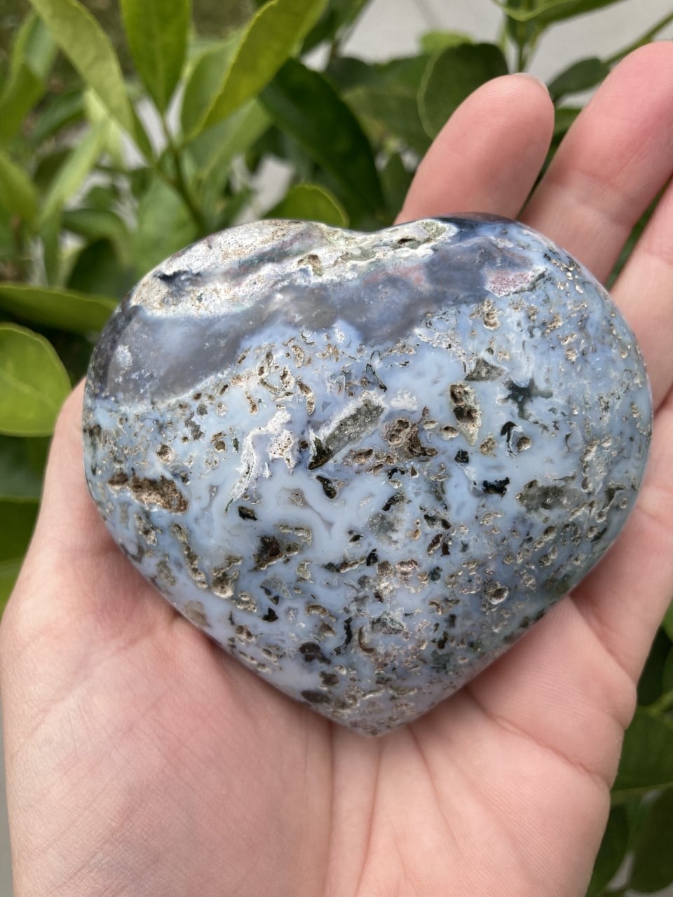 Hjerteformet blåt Jaspis Hav hjerte holdes i en hånd med grønne blade i baggrunden.