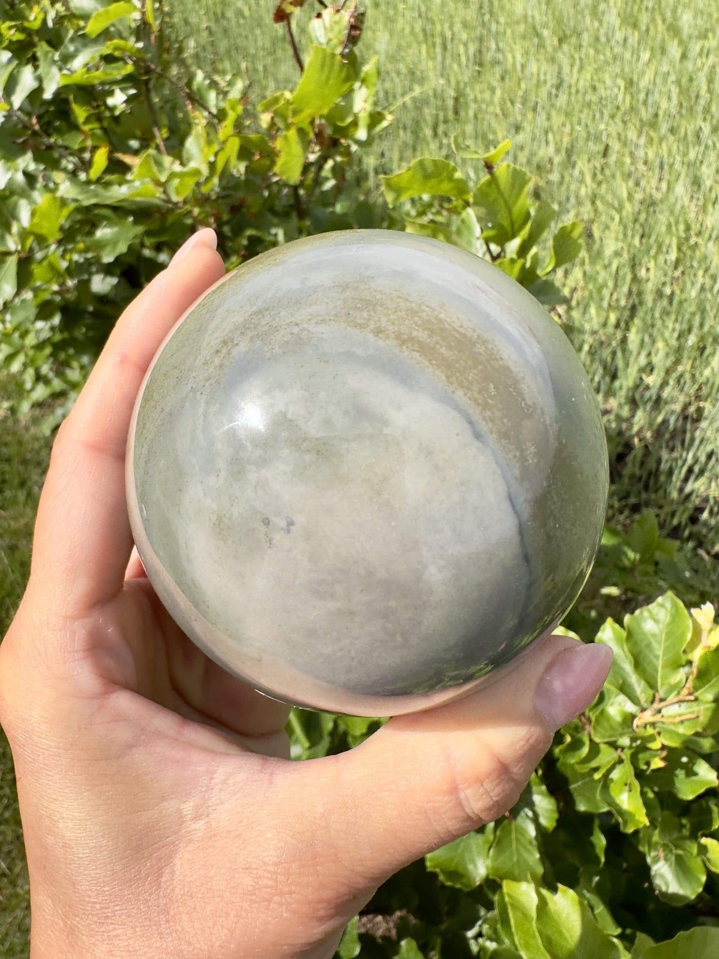 Hånd holder en Jaspis Polychrome kugle foran grønne blade i sollys.