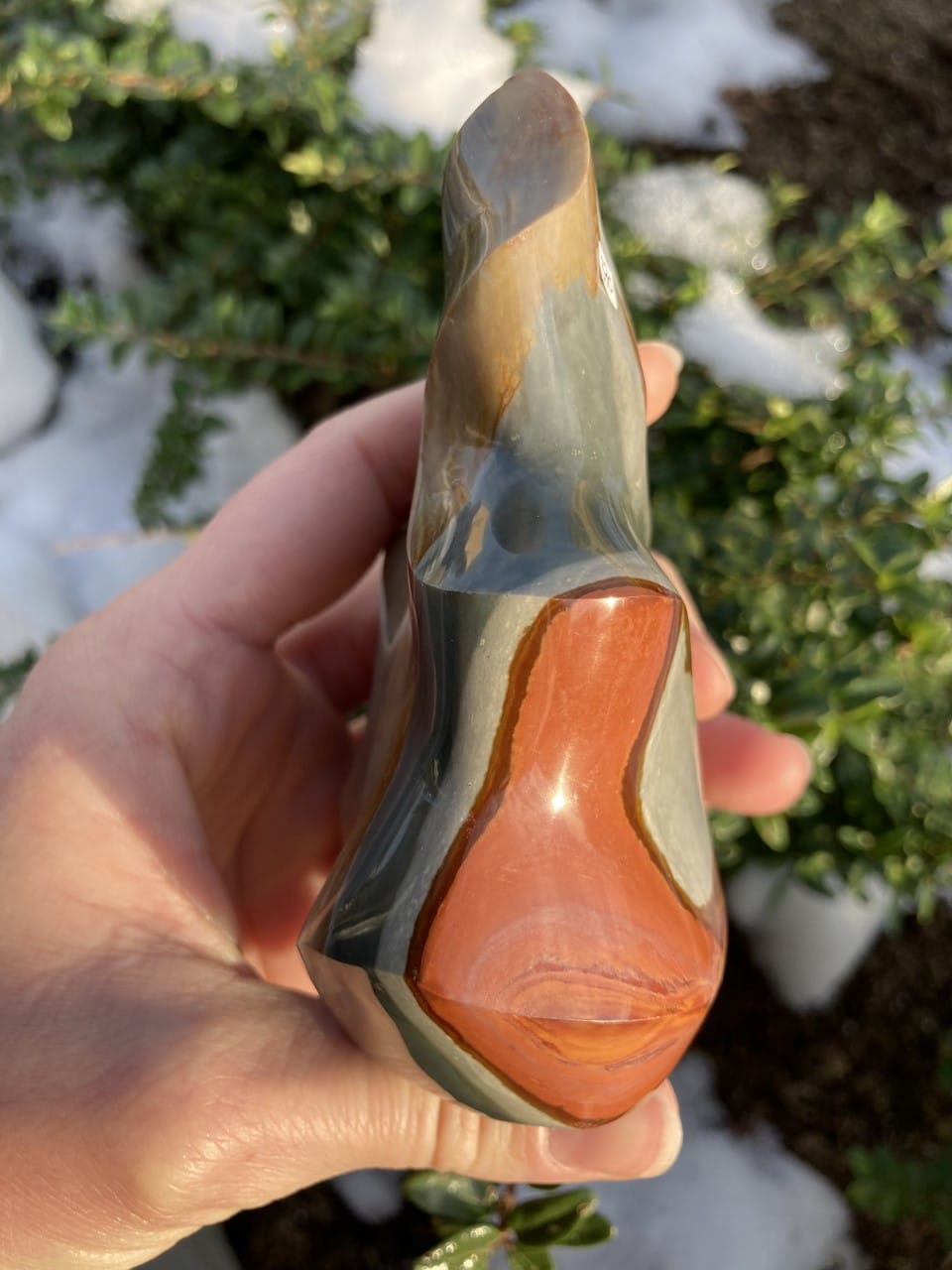 En hånd holder en Jaspis Polychrome flamme med brun, orange og grå striber, på en baggrund af grønne blade og sne.