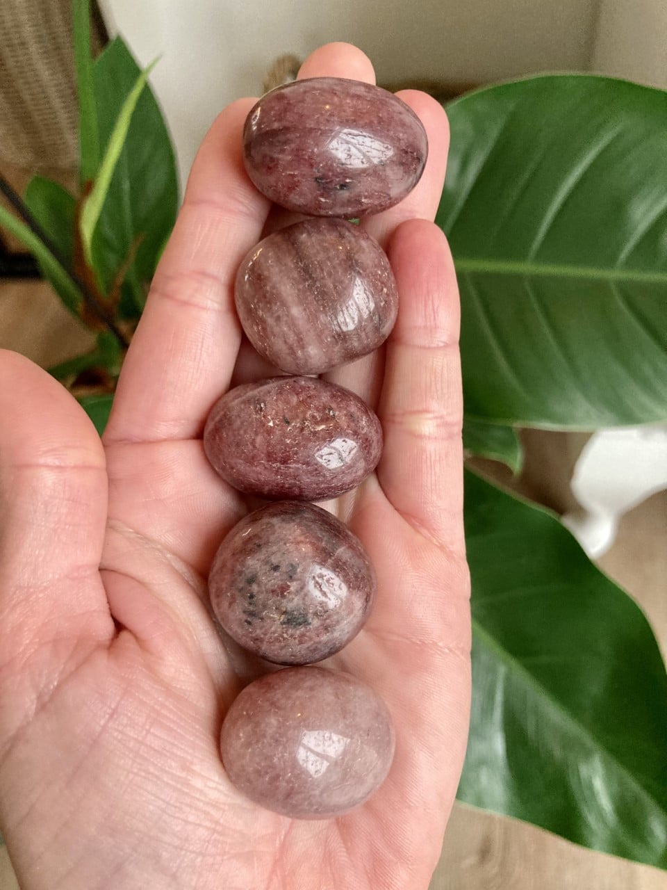 Hånd holder fem polerede jordbærkvarts-sten over grønne blade i baggrunden.