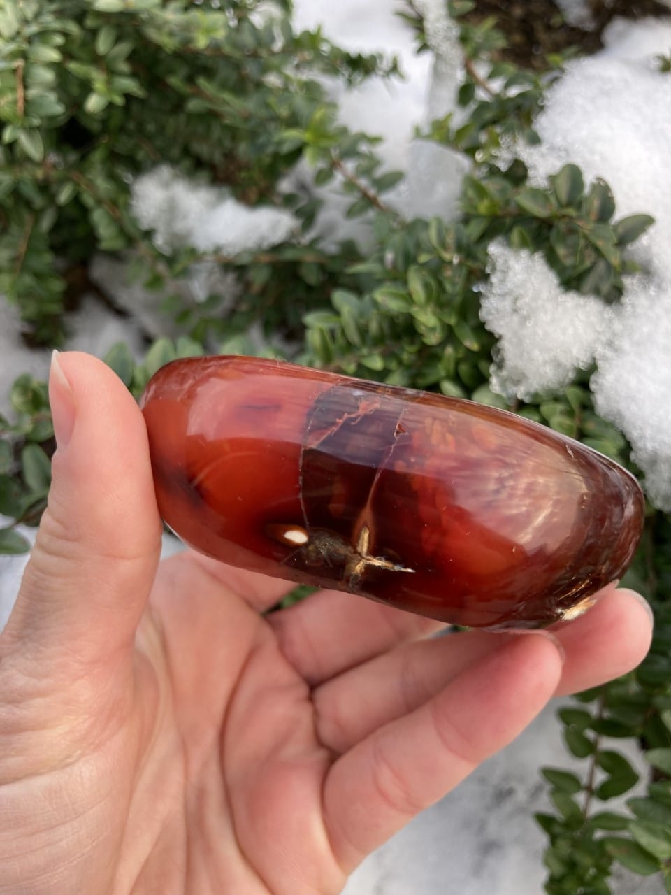 Hånd holder en karneol smykkeskål foran sneklædt busk.