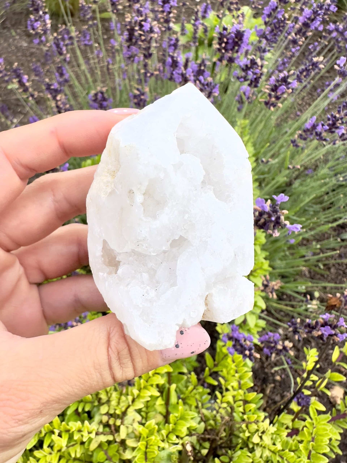 Hånd holder kvarts geode tårn foran en have med lilla lavendelblomster.
