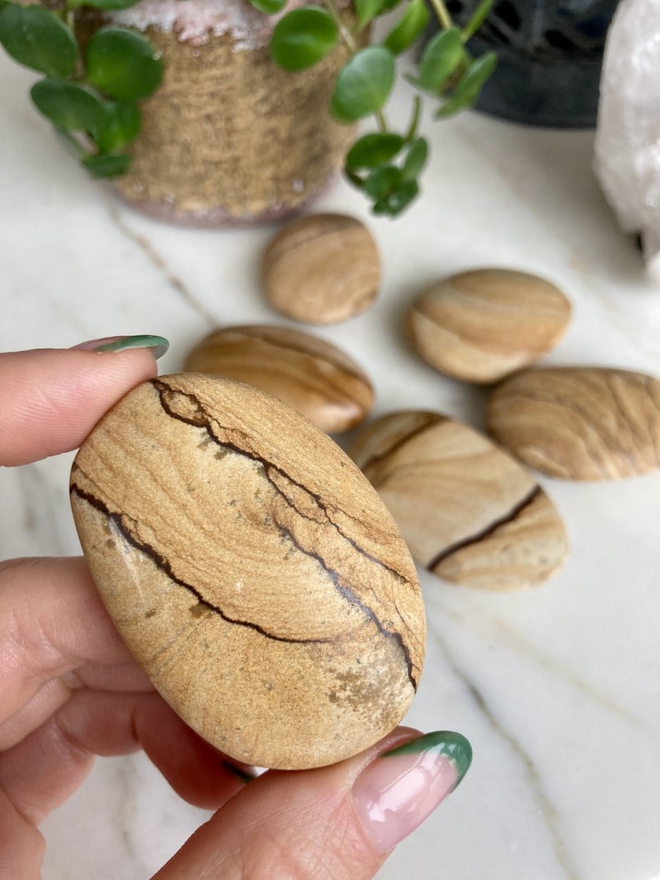 Brun mønstret Jaspis Landskab i en hånd, med flere sten og en plante i baggrunden.
